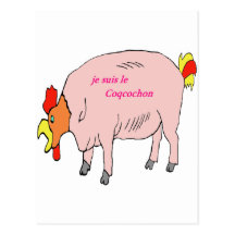 COQCOCHON 1.PNG CARTES POSTALES