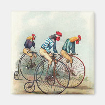 Coqs d'équitation aimant