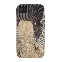 Coque-Compagnon de alimentation de zèbre Coque iPhone 4/4S