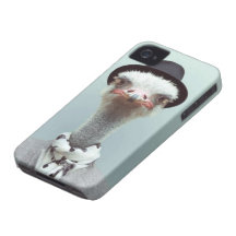coque iphone 4