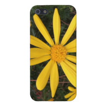 Coque iphone de fleur de marguerite coques iPhone 5