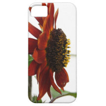 Coque iphone rouge de beauté coque iPhone 5