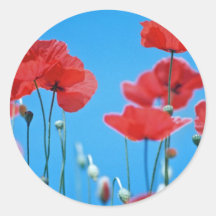 Coquelicots de Provence Autocollants