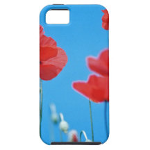 Coquelicots de Provence Étui iPhone 5