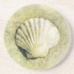 Coquillage élégant de plage dessous de verres