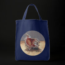 Coquillage sacs