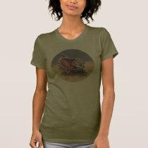 Coquillage t-shirts