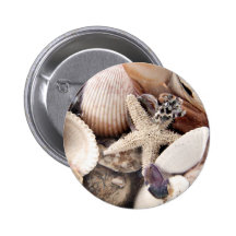 Coquilles de mer par le rivage pin's avec agrafe
