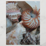 Coquilles de plage de la Floride Prospectus Personnalisés