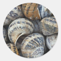 Coquilles d'escargot adhésif rond