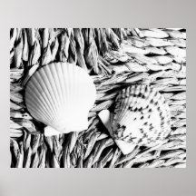 Coquilles Affiches
