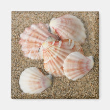 Coquilles roses de fan aimant pour réfrigérateur