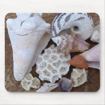 coquilles tapis de souris