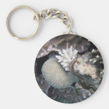 Corail blanc porte-clef