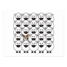 Corgi de Gallois de cardigan chez les moutons Cartes Postales
