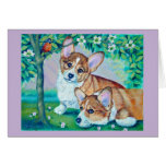Corgi de Gallois de Pembroke Cartes