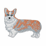 Corgi de Gallois de Pembroke