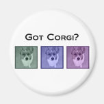 Corgi obtenu ? aimant pour réfrigérateur