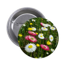 Correction de marguerites badges avec agrafe
