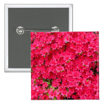 Correction rouge de fleur d'azalée pin's