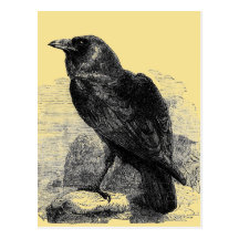 Corvus de Raven Cartes Postales