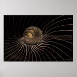 Cosse Poster