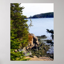 Côte du Maine de marée basse Posters