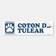 Coton De Tulear Blue Autocollant Pour Voiture