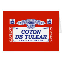 Coton De Tulear Carte De Vœux