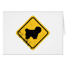 Coton de Tulear Cartes