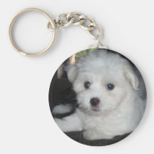 Coton De Tulear Porte-clé