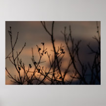 Coucher du soleil à l'arrière-plan posters