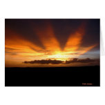 Coucher du soleil africain cartes de vœux