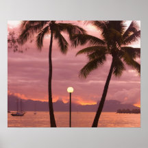 Coucher du soleil au-dessus de Moorea de plage de  Posters