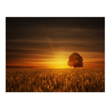 Coucher du soleil carte postale