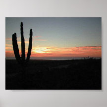 Coucher du soleil de cactus de Todo Santos Posters