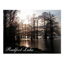 Coucher du soleil de Cypress chez Reelfoot Carte Postale