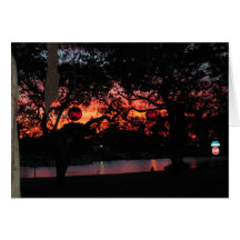 Coucher du soleil de la Floride Cartes De Vœux