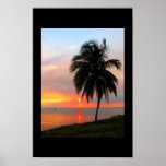 Coucher du soleil de la Floride Affiche