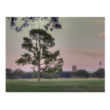 Coucher du soleil de parc d'Audubon Carte Postale