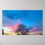 Coucher du soleil de ressort faisant face à des su affiche