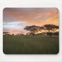 Coucher du soleil de Serengeti Tapis De Souris