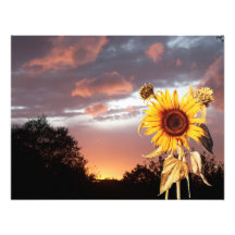 COUCHER DU SOLEIL D'ÉTÉ PHOTOS D’ART