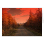Coucher du soleil du Maine Carte