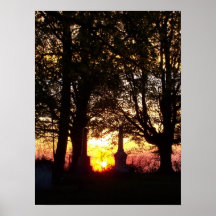 Coucher du soleil entre les tombes posters