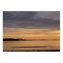 Coucher du soleil et oiseaux de mer modèle de carte de visite