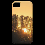 Coucher du soleil coques case-mate
