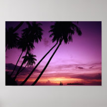 Coucher du soleil tropical posters