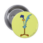 Coucou terrestre en couleurs badges