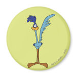 Coucou terrestre en couleurs magnets